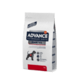 ADVANCE DIABETES- PERRO