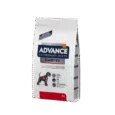 ADVANCE DIABETES- PERRO