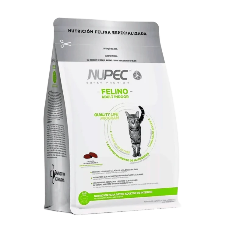 nupec-Gato_indoor