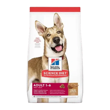 HILLS CANINE ADULT LAMB & RICE 15.5lb