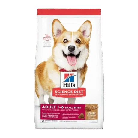 HILLS CANINE ADULT LAMB & RICE SMALL BITES