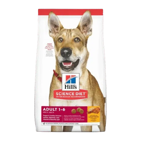 HILLS CANINE ADULT ORIGINAL
