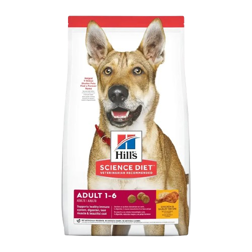 HILLS CANINE ADULT ORIGINAL