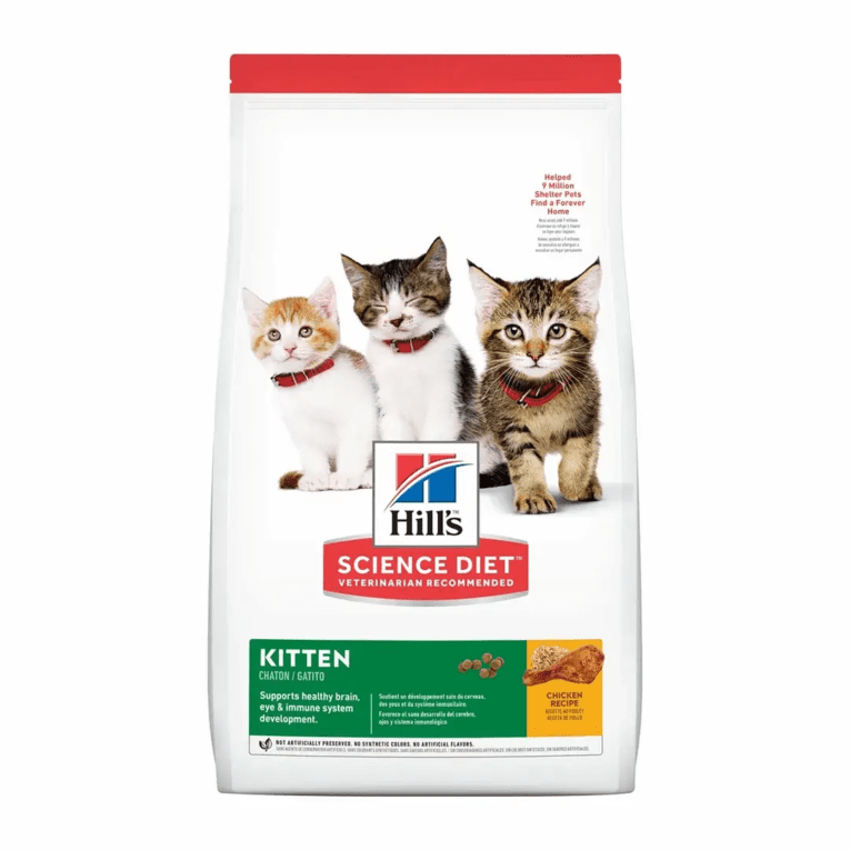HILLS KITTEN