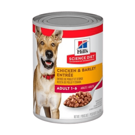 HILLS LATA ADULTO CHICKEN & BARLEY 13 OZ