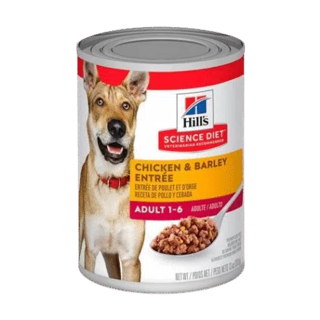 HILLS LATA ADULTO CHICKEN & BARLEY 13 OZ