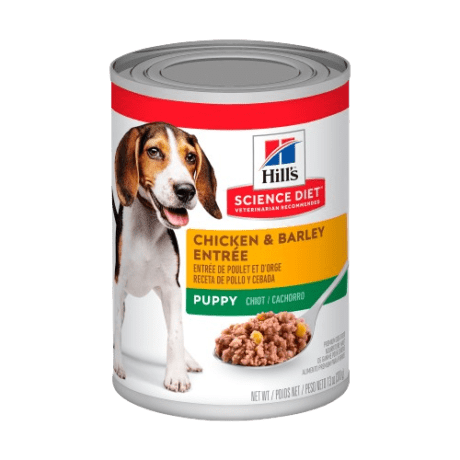 HILLS LATA PUPPY CHICKEN & BARLEY 13 OZ