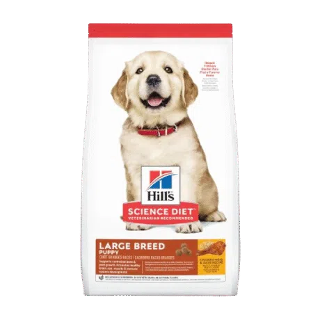 HILLS PUPPY LARGE BREED