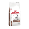ROYAL CANIN GASTRO INTESTINAL- PERRO