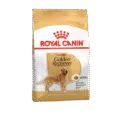 ROYAL CANIN GOLDEN RETRIEVER ADULTO