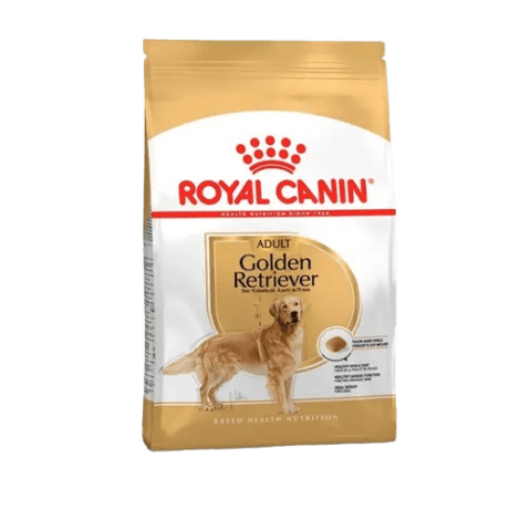 ROYAL CANIN GOLDEN RETRIEVER ADULTO