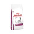 ROYAL CANIN RENAL- PERRO
