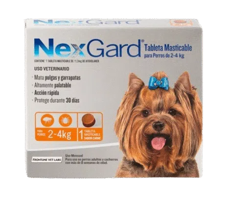 NEXGARD (2-4 kg)