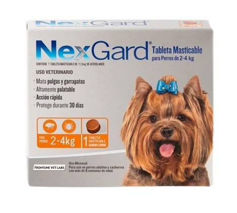 NEXGARD (2-4 kg)