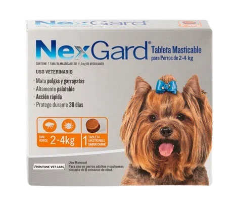 NEXGARD (2-4 kg)
