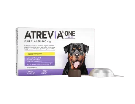 ATREVIA ONE LARGE 20 a 40 KG
