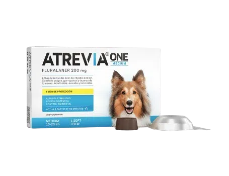 ATREVIA ONE MEDIUM 10 a 20 KG