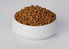 Alimento Seco Para Gatos