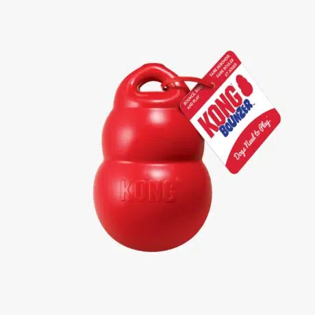 KONG BOUNZER
