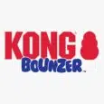 KONG BOUNZER