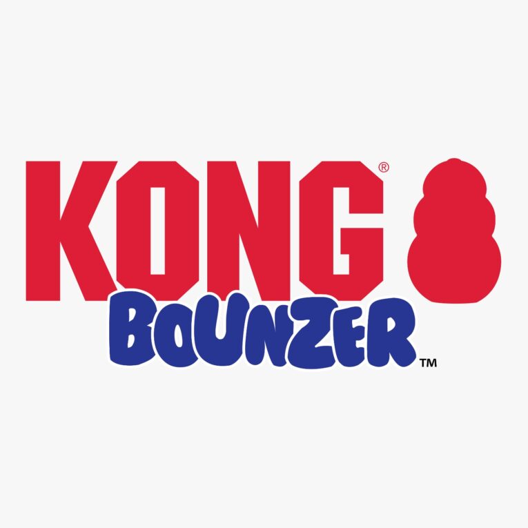 KONG BOUNZER