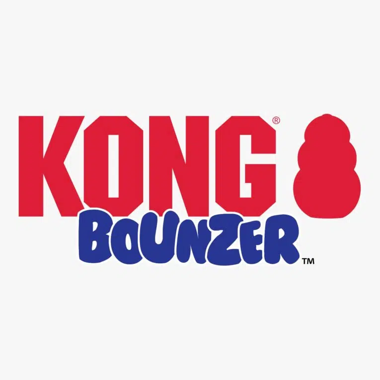 KONG BOUNZER