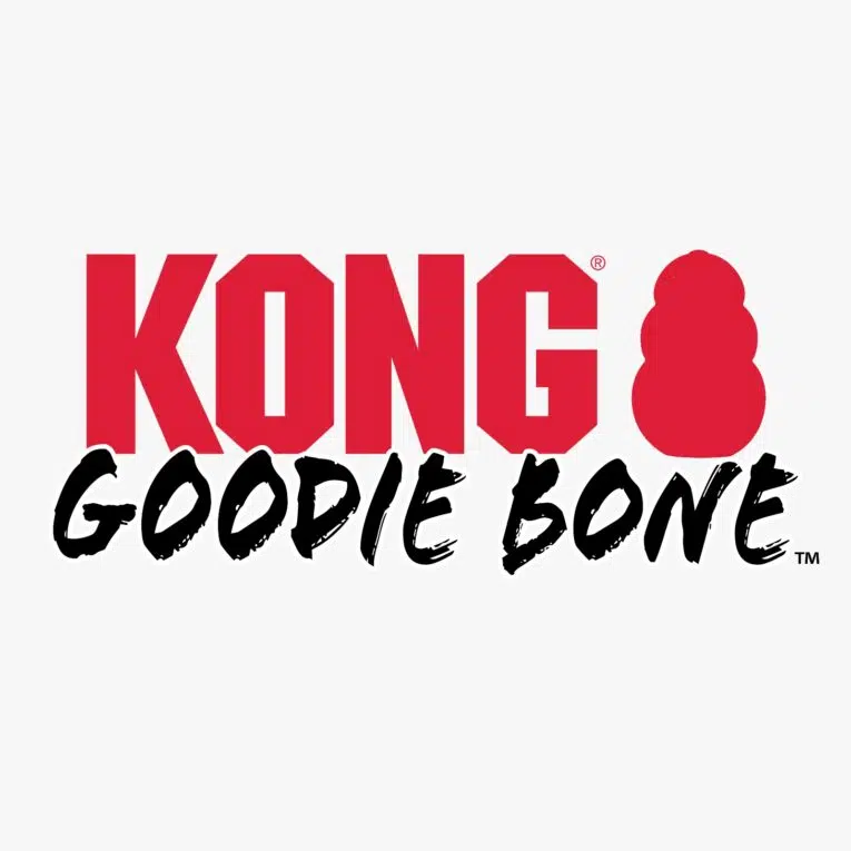 KONG GOODIE BONE 4