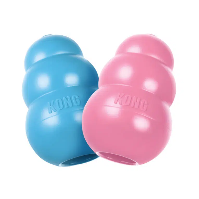 KONG PUPPY S1