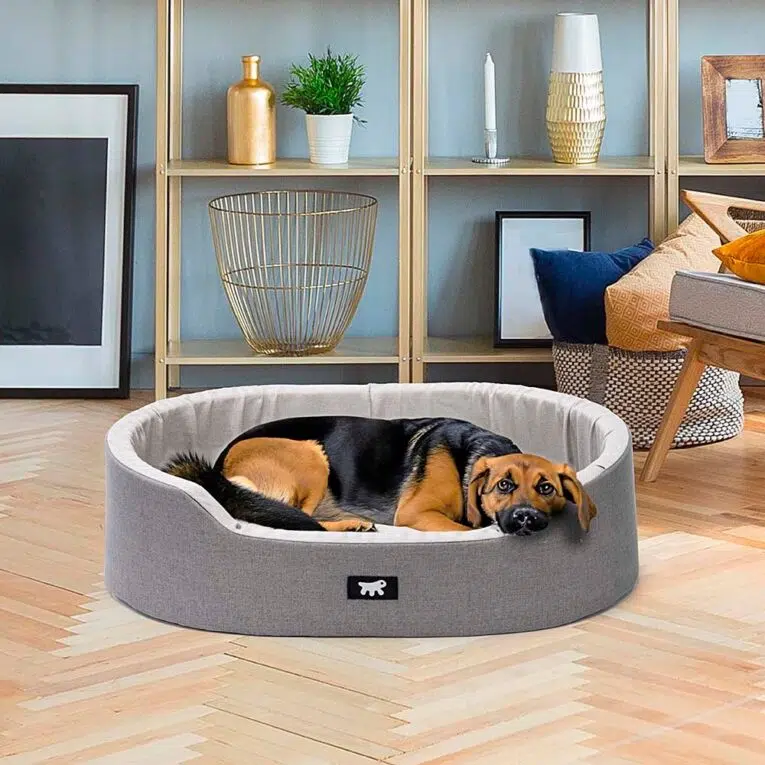 2afe455d-ec46-4670-ba31-24d3b57d82f5