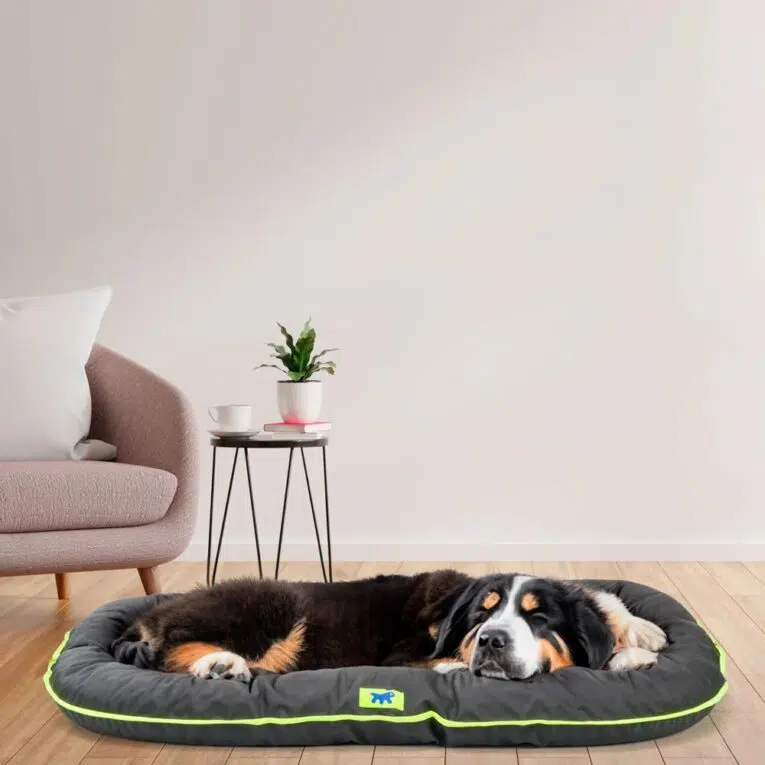 49ba9c64-abd5-4ace-9c39-f93b7b6c78e8