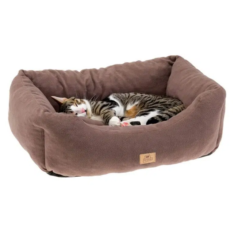 5ade5072-5f72-4e76-ad94-a79ef884fa83