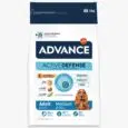 ADVANCE MEDIUM ADULT