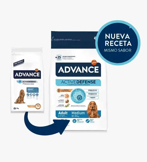 ADVANCE MEDIUM ADULT 3