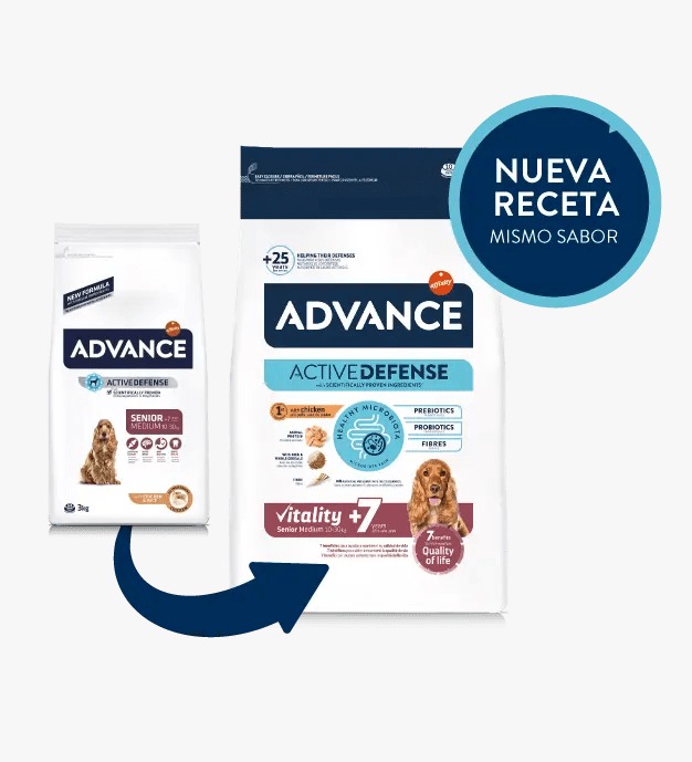 ADVANCE MEDIUM SENIOR 3