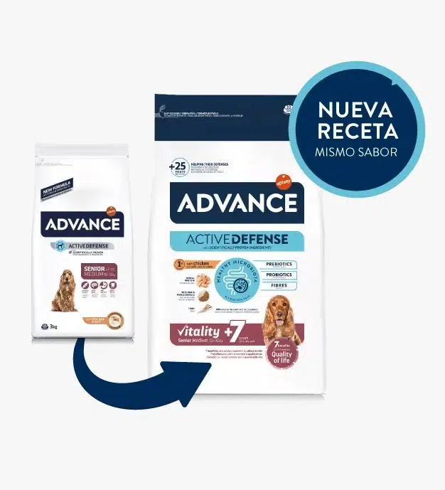 ADVANCE MEDIUM SENIOR 3