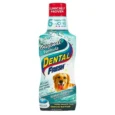 DENTAL FRESH