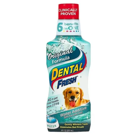 DENTAL FRESH