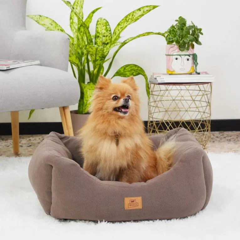 a641e008-4b3e-442c-94c6-17e5a8d416c5