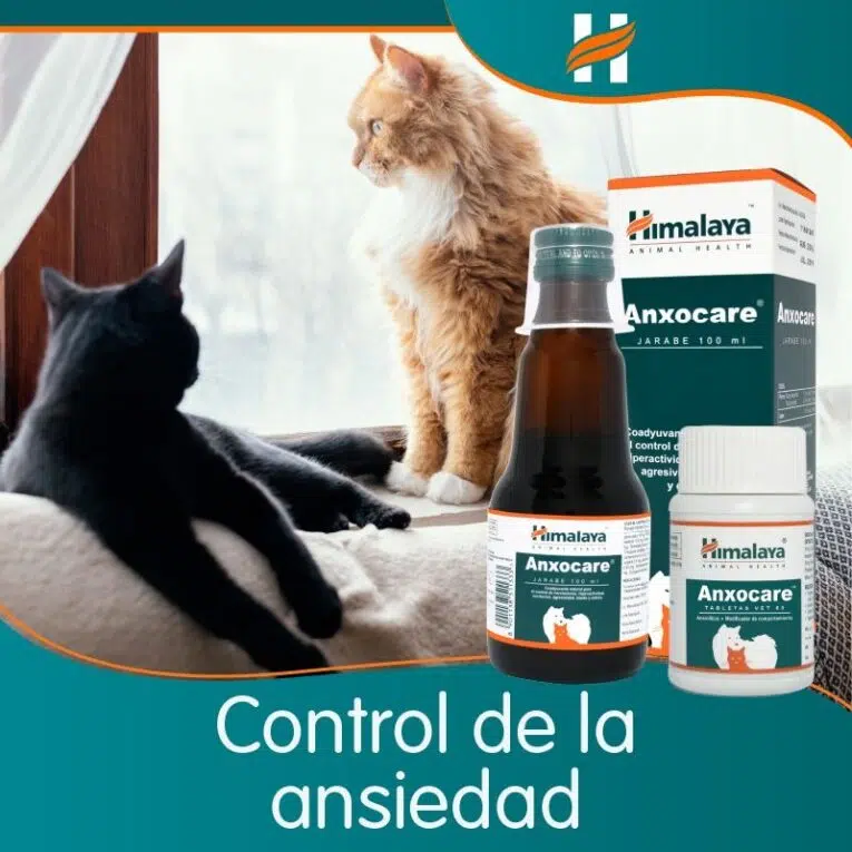 2d3f1b77-c561-415b-9e42-f46f815db77c