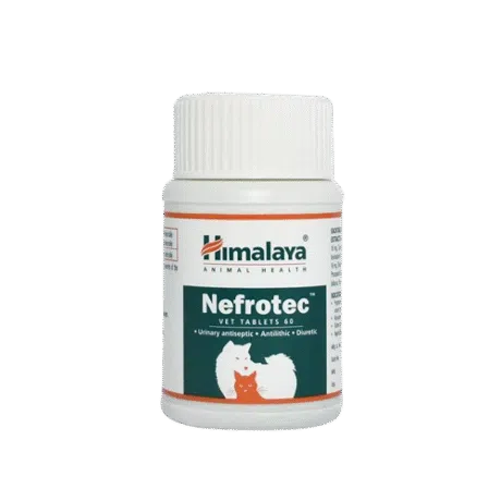 NEFROTEC 60 TABLETAS