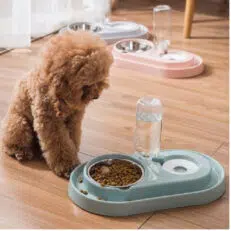 Comederos y Bebederos Para Perros