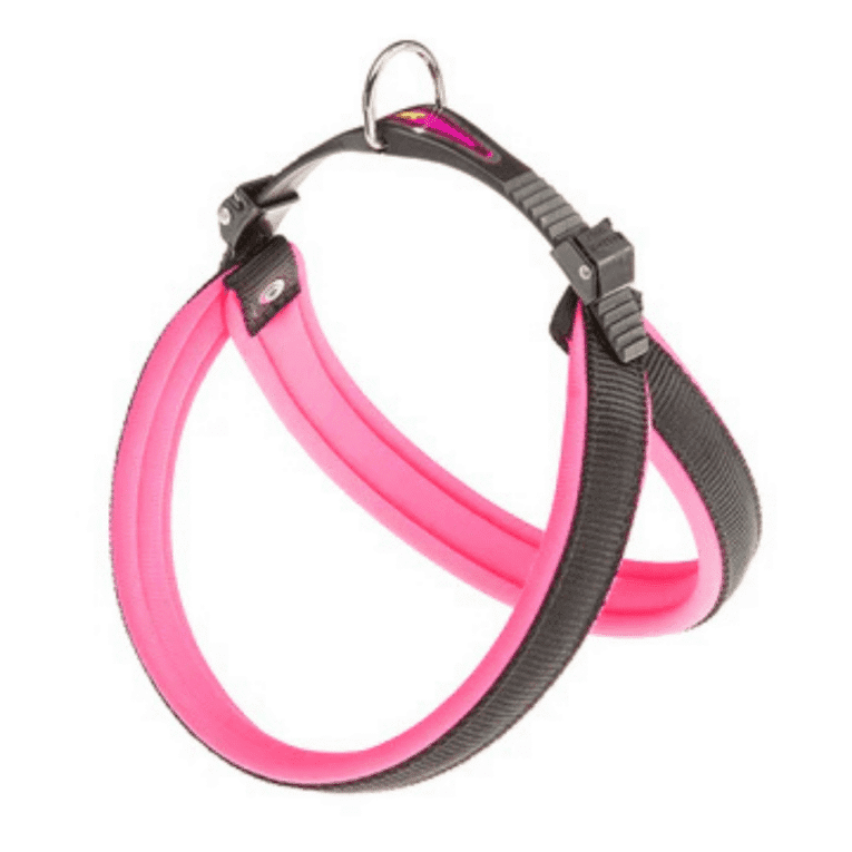 Arnes Fluo Rosa