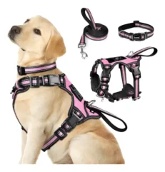 Collares Correas y Arneses Para Perros