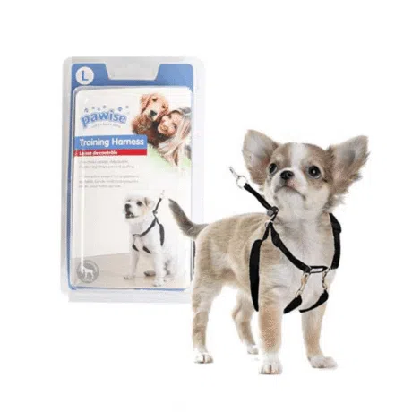 PAWISE ARNES DE ENTRENAMIENTO