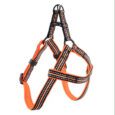 PAWISE ARNES REFLECTIVO NARANJA