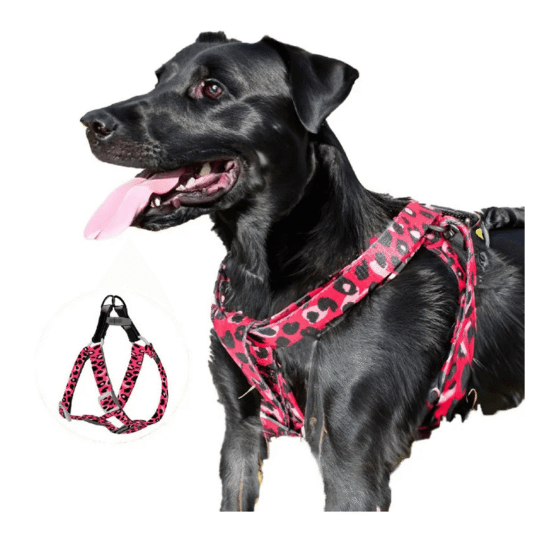 AFP ARNES LEOPARDO TALLA L