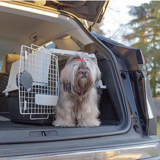 FERPLAST KENNEL 40 PROF 2