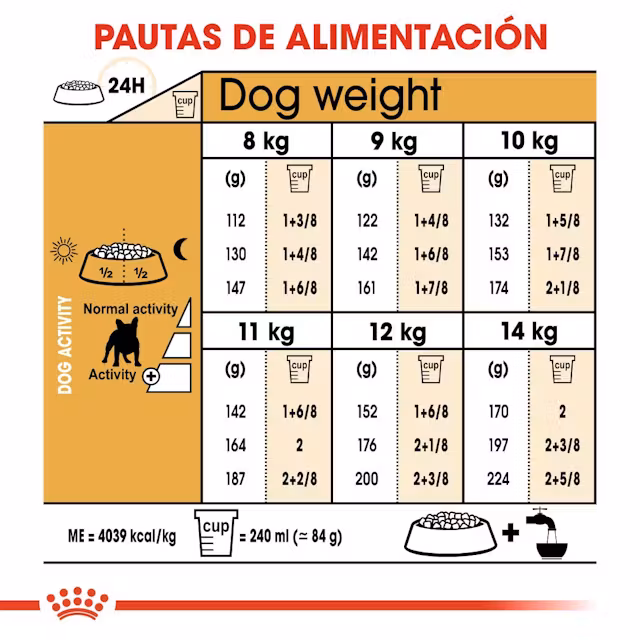 RC BULLDOG FRANCES 2