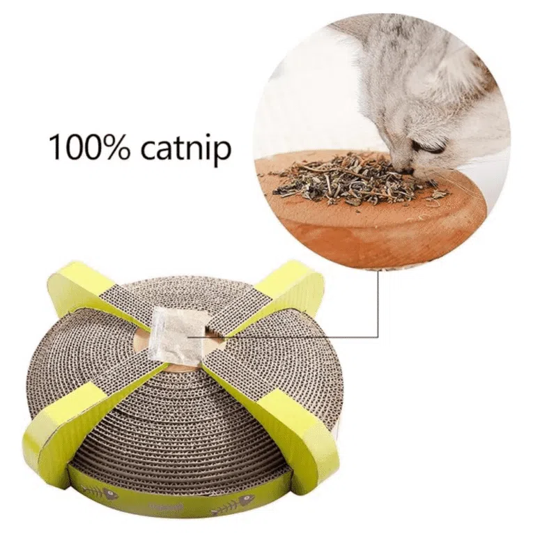 PAWISE RASCADOR REDONDO REVERSIBLE 2