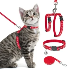 Collares Correas y Arneses para Gatos